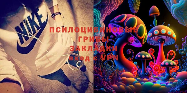 a pvp Абаза