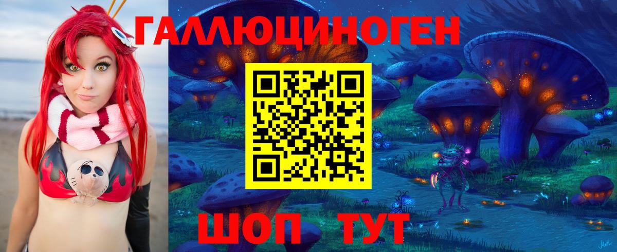 Псилоцибиновые грибы Psilocybine cubensis Алатырь