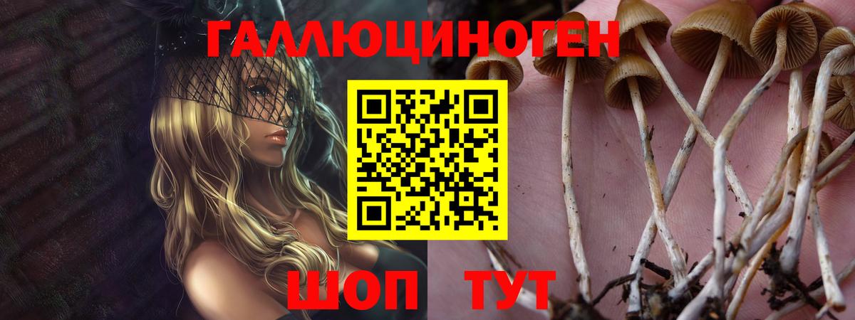 Алатырь  Галлюциногенные грибы мухоморы  Вход с VPN 